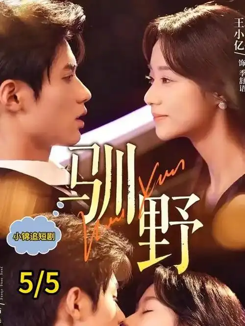情感短剧《离婚前一天》海报